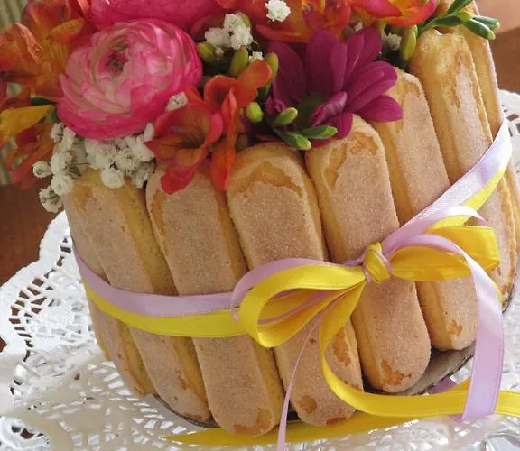 Oda ve Kahvaltı Zia